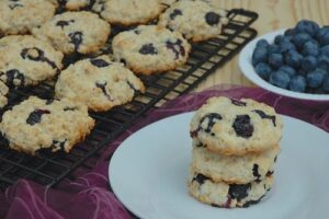 Bosbessen Kokos Koekjes