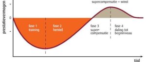 Periodisering Training