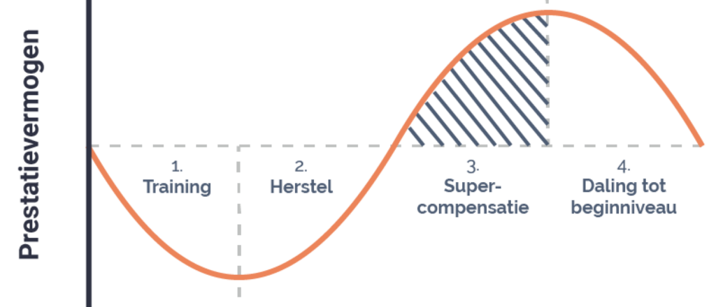 Wat is supercompensatie