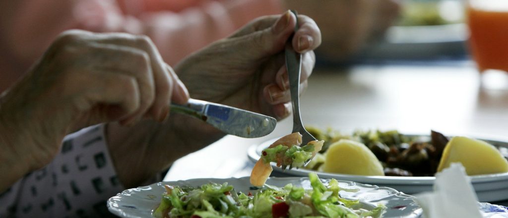 Wat eten als vegetariër