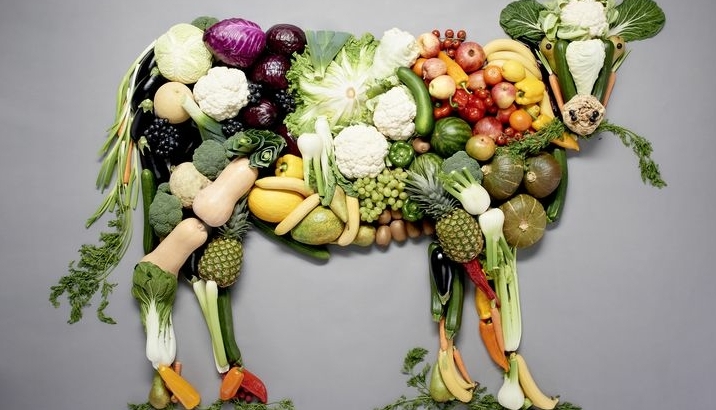Dierlijke producten veganisme