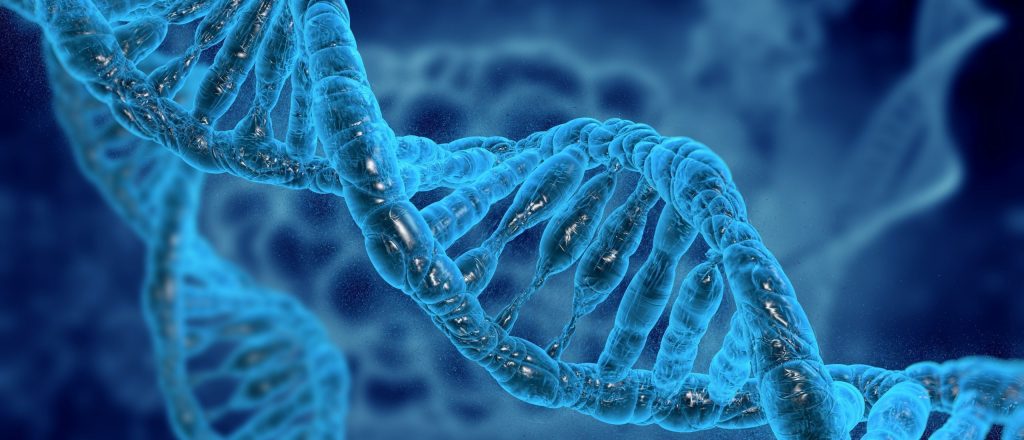 Hoe jouw DNA je trainingsresultaten beïnvloedt