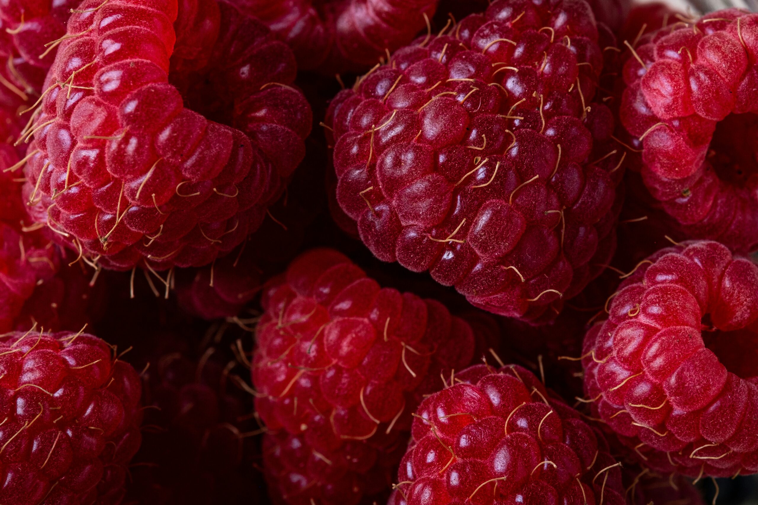 De beste supplementen voor spiermassa en herstel 1 frambozen closeup bes