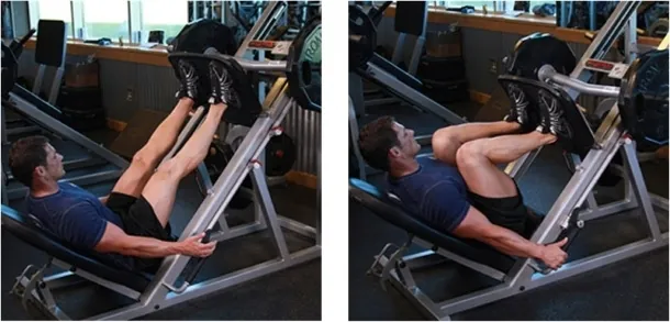 14294333086971 leg press