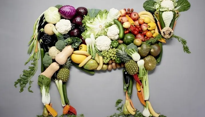 Dierlijke producten veganisme