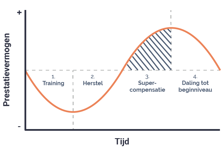 Wat is supercompensatie