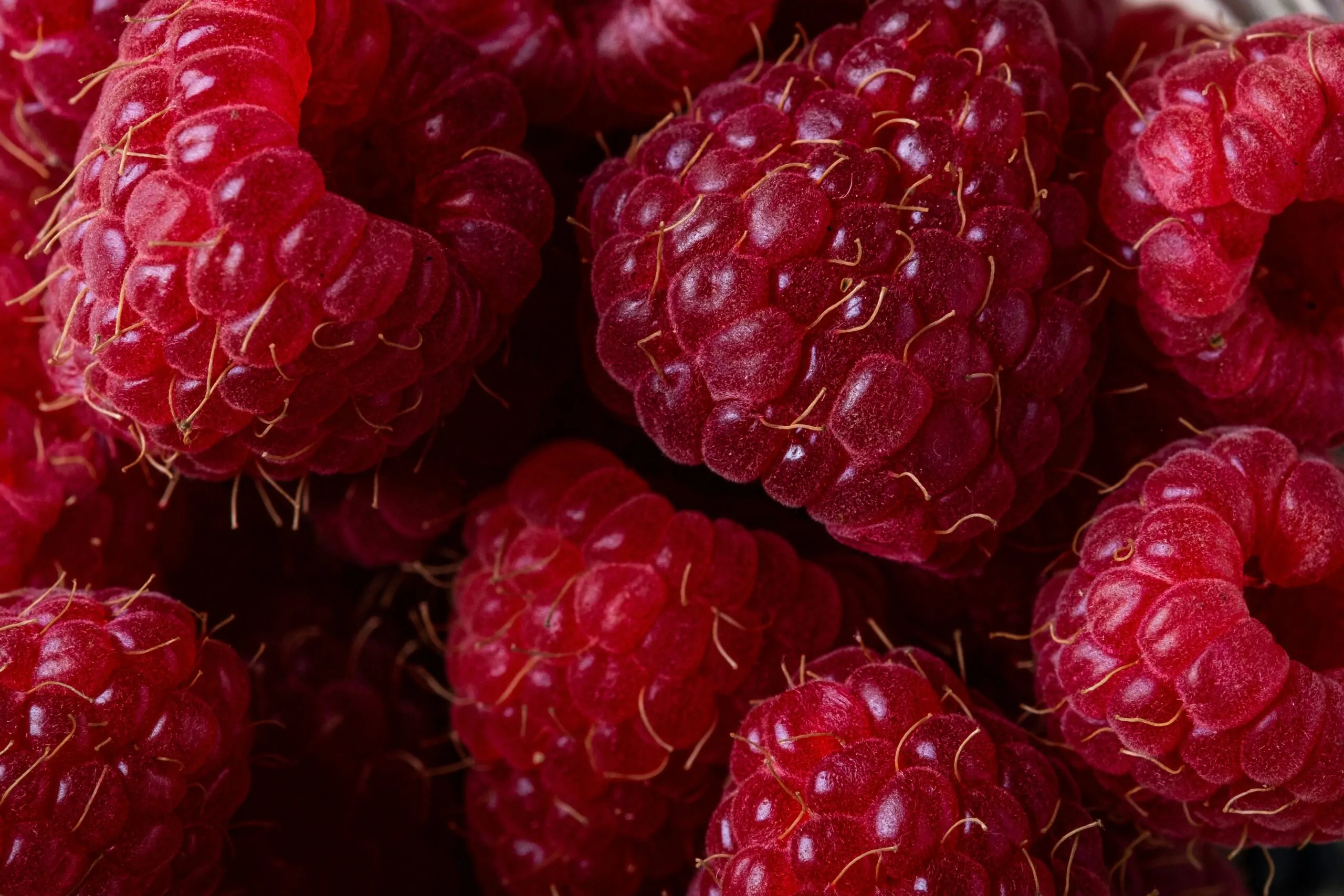 De beste supplementen voor spiermassa en herstel 1 frambozen closeup bes